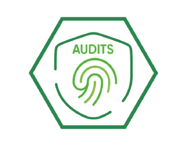 ISSB Compliant ESG Assurance