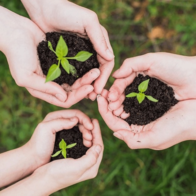 Untitled-design-11-Medium